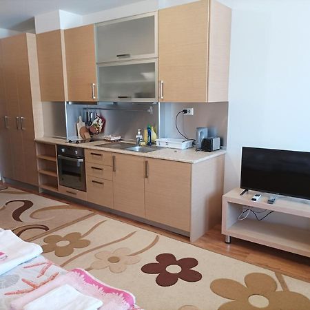 Studio Detelina Residence Bansko Dış mekan fotoğraf