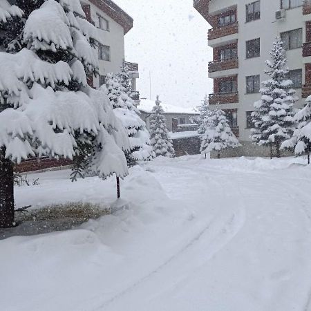 Studio Detelina Residence Bansko Dış mekan fotoğraf