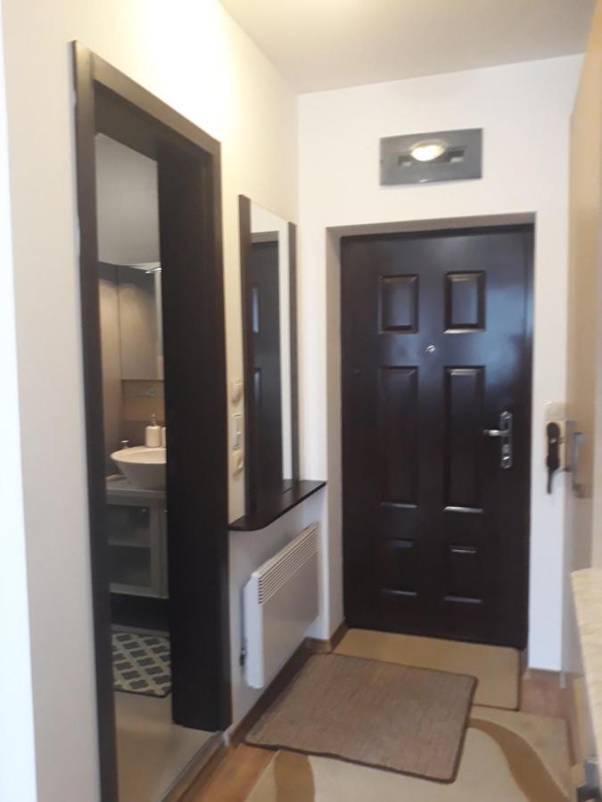 Studio Detelina Residence Bansko Dış mekan fotoğraf