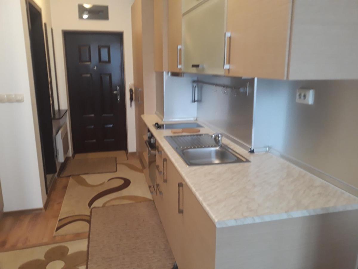 Studio Detelina Residence Bansko Dış mekan fotoğraf