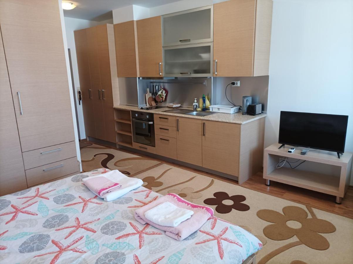 Studio Detelina Residence Bansko Dış mekan fotoğraf