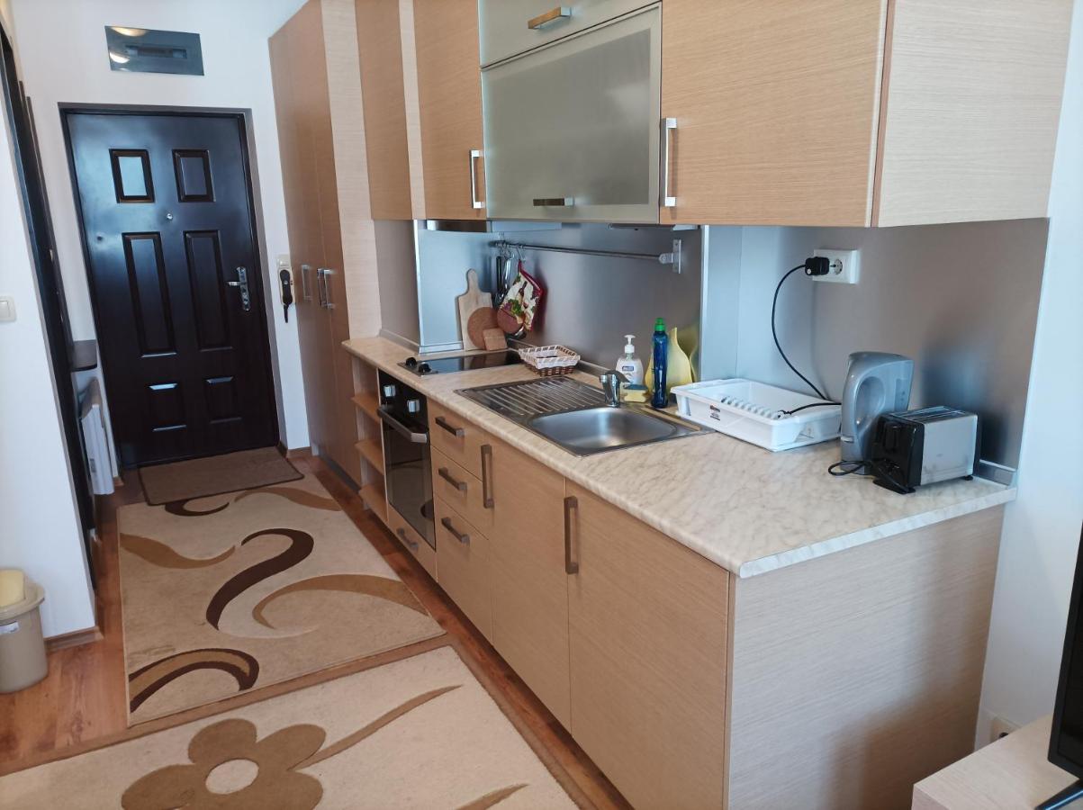 Studio Detelina Residence Bansko Dış mekan fotoğraf