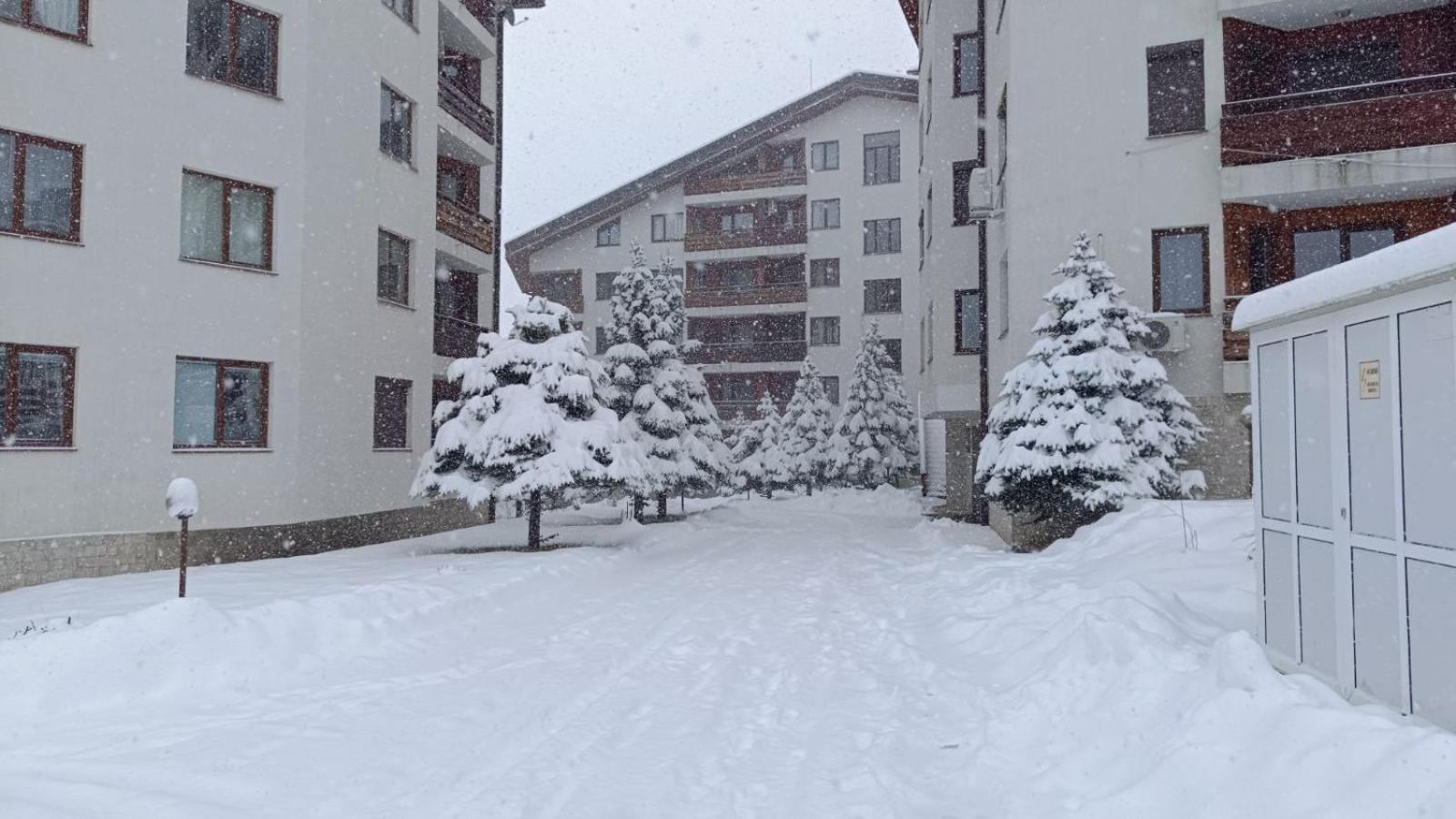 Studio Detelina Residence Bansko Dış mekan fotoğraf