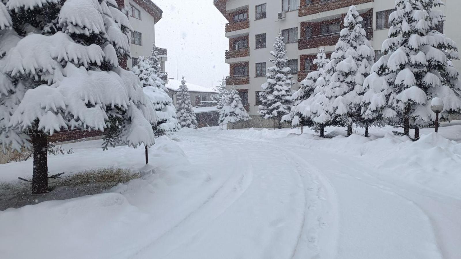 Studio Detelina Residence Bansko Dış mekan fotoğraf
