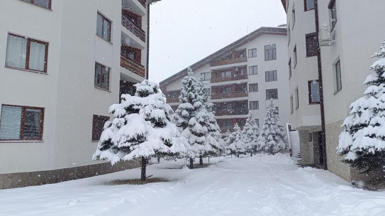Studio Detelina Residence Bansko Dış mekan fotoğraf