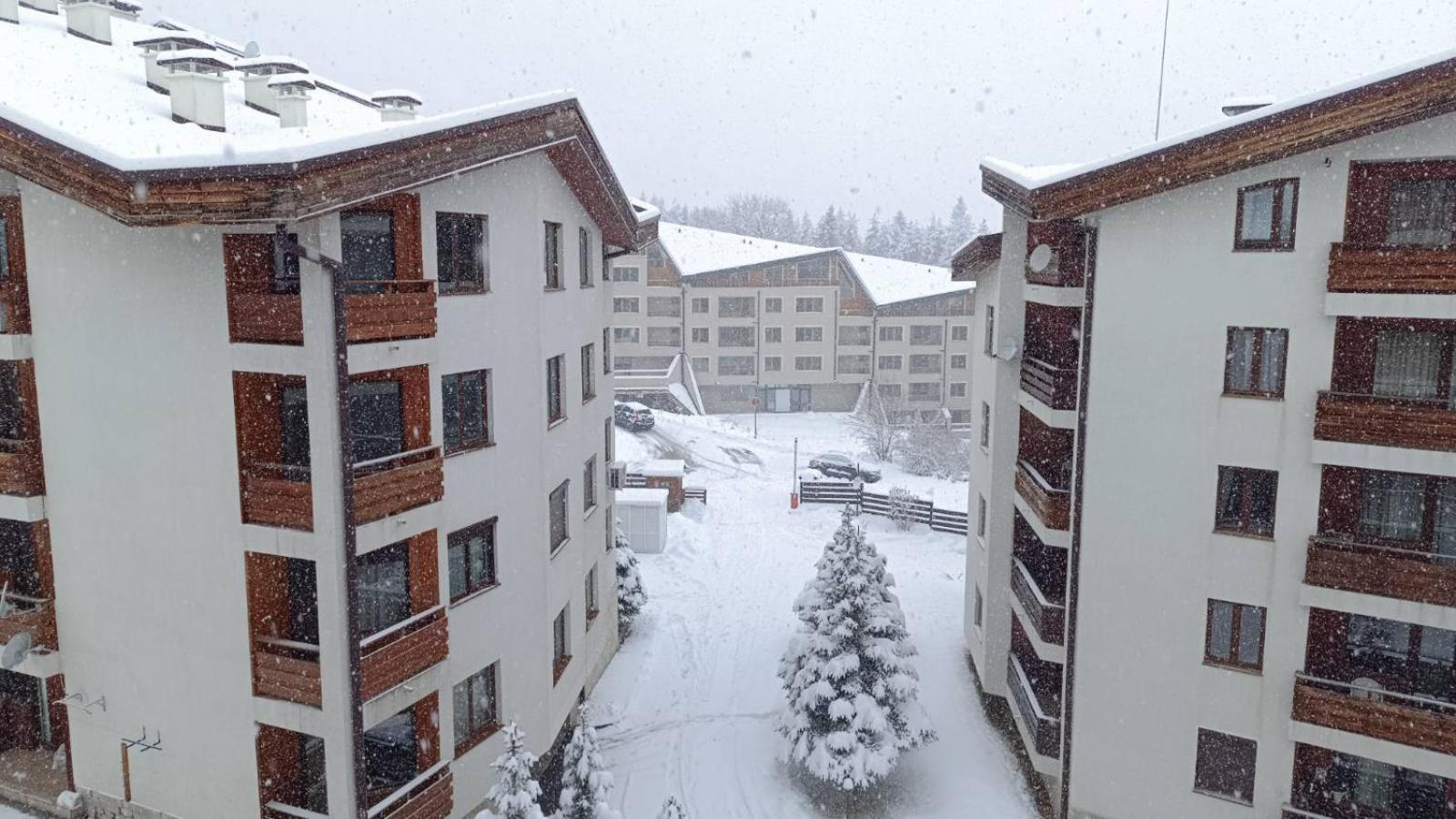 Studio Detelina Residence Bansko Dış mekan fotoğraf