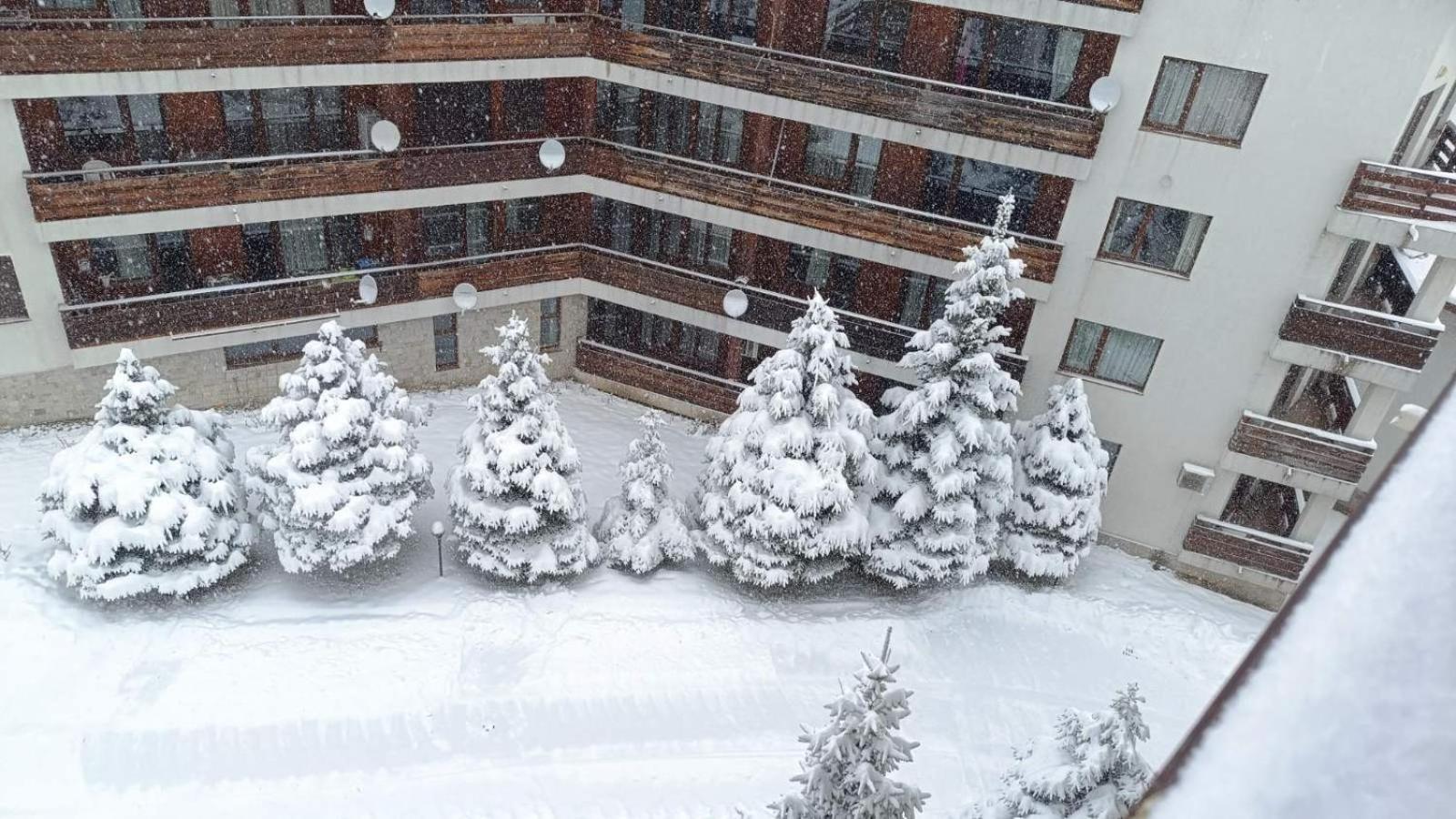 Studio Detelina Residence Bansko Dış mekan fotoğraf