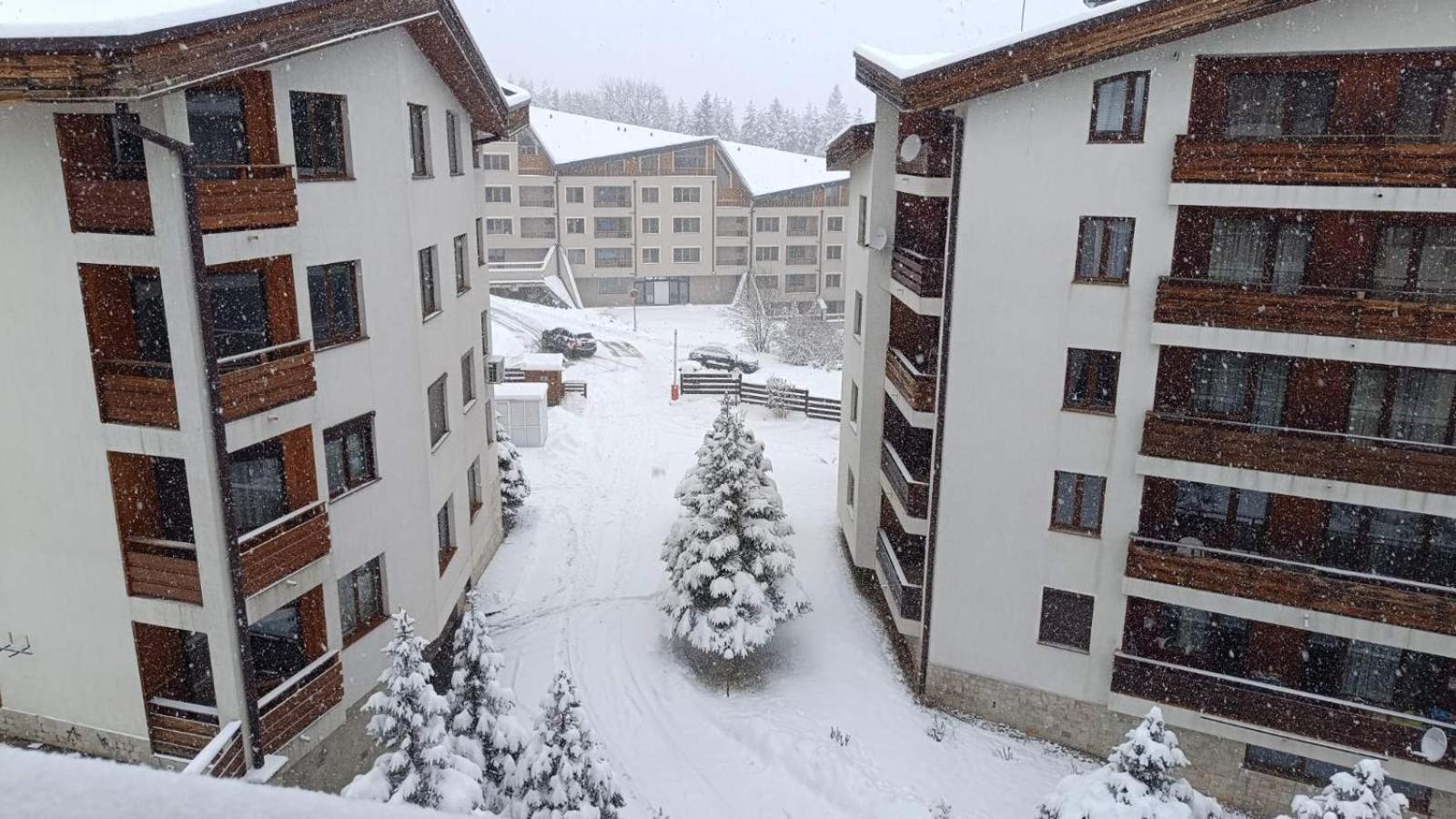 Studio Detelina Residence Bansko Dış mekan fotoğraf